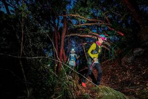 BIB: 
                            <button type="button" onclick="openModal(24789070)" class="btn btn-primary btn-sm float-right btn-popup" data-toggle="modal" data-target=".modal-high-quality">
                        <i class="fas fa-shopping-cart"></i> Add to Cart
                    </button>
                                            <button type="button" onclick="isThisMe(24789070, true)" class="btn btn-success btn-sm float-right btn-popup btn-isme hidden" data-toggle="tooltip" data-placement="bottom" title="นี่คือรูปของคุณใช่ไหม คลิกที่นี่เพื่อเอาเข้าอัลบั้ม">
                        <i class="fas fa-plus"></i> Add to album
                    </button>
                    <button type="button" onclick="isThisMe(24789070, false)" class="btn btn-warning btn-sm float-right btn-popup btn-isnotme hidden">
                        <i class="fas fa-ban"></i> Remove from album
                    </button>