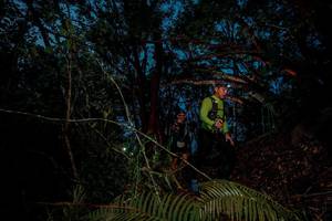 BIB: 
                            <button type="button" onclick="openModal(24782411)" class="btn btn-primary btn-sm float-right btn-popup" data-toggle="modal" data-target=".modal-high-quality">
                        <i class="fas fa-shopping-cart"></i> Add to Cart
                    </button>
                                            <button type="button" onclick="isThisMe(24782411, true)" class="btn btn-success btn-sm float-right btn-popup btn-isme hidden" data-toggle="tooltip" data-placement="bottom" title="นี่คือรูปของคุณใช่ไหม คลิกที่นี่เพื่อเอาเข้าอัลบั้ม">
                        <i class="fas fa-plus"></i> Add to album
                    </button>
                    <button type="button" onclick="isThisMe(24782411, false)" class="btn btn-warning btn-sm float-right btn-popup btn-isnotme hidden">
                        <i class="fas fa-ban"></i> Remove from album
                    </button>