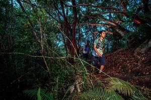 BIB: 
                            <button type="button" onclick="openModal(24787315)" class="btn btn-primary btn-sm float-right btn-popup" data-toggle="modal" data-target=".modal-high-quality">
                        <i class="fas fa-shopping-cart"></i> Add to Cart
                    </button>
                                            <button type="button" onclick="isThisMe(24787315, true)" class="btn btn-success btn-sm float-right btn-popup btn-isme hidden" data-toggle="tooltip" data-placement="bottom" title="นี่คือรูปของคุณใช่ไหม คลิกที่นี่เพื่อเอาเข้าอัลบั้ม">
                        <i class="fas fa-plus"></i> Add to album
                    </button>
                    <button type="button" onclick="isThisMe(24787315, false)" class="btn btn-warning btn-sm float-right btn-popup btn-isnotme hidden">
                        <i class="fas fa-ban"></i> Remove from album
                    </button>