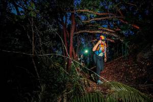 BIB: 
                            <button type="button" onclick="openModal(24788573)" class="btn btn-primary btn-sm float-right btn-popup" data-toggle="modal" data-target=".modal-high-quality">
                        <i class="fas fa-shopping-cart"></i> Add to Cart
                    </button>
                                            <button type="button" onclick="isThisMe(24788573, true)" class="btn btn-success btn-sm float-right btn-popup btn-isme hidden" data-toggle="tooltip" data-placement="bottom" title="นี่คือรูปของคุณใช่ไหม คลิกที่นี่เพื่อเอาเข้าอัลบั้ม">
                        <i class="fas fa-plus"></i> Add to album
                    </button>
                    <button type="button" onclick="isThisMe(24788573, false)" class="btn btn-warning btn-sm float-right btn-popup btn-isnotme hidden">
                        <i class="fas fa-ban"></i> Remove from album
                    </button>