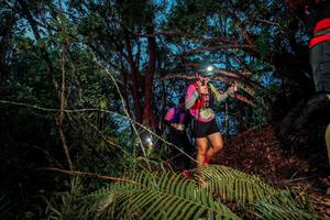 BIB: 
                            <button type="button" onclick="openModal(24782805)" class="btn btn-primary btn-sm float-right btn-popup" data-toggle="modal" data-target=".modal-high-quality">
                        <i class="fas fa-shopping-cart"></i> Add to Cart
                    </button>
                                            <button type="button" onclick="isThisMe(24782805, true)" class="btn btn-success btn-sm float-right btn-popup btn-isme hidden" data-toggle="tooltip" data-placement="bottom" title="นี่คือรูปของคุณใช่ไหม คลิกที่นี่เพื่อเอาเข้าอัลบั้ม">
                        <i class="fas fa-plus"></i> Add to album
                    </button>
                    <button type="button" onclick="isThisMe(24782805, false)" class="btn btn-warning btn-sm float-right btn-popup btn-isnotme hidden">
                        <i class="fas fa-ban"></i> Remove from album
                    </button>