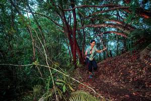 BIB: 
                            <button type="button" onclick="openModal(24781091)" class="btn btn-primary btn-sm float-right btn-popup" data-toggle="modal" data-target=".modal-high-quality">
                        <i class="fas fa-shopping-cart"></i> Add to Cart
                    </button>
                                            <button type="button" onclick="isThisMe(24781091, true)" class="btn btn-success btn-sm float-right btn-popup btn-isme hidden" data-toggle="tooltip" data-placement="bottom" title="นี่คือรูปของคุณใช่ไหม คลิกที่นี่เพื่อเอาเข้าอัลบั้ม">
                        <i class="fas fa-plus"></i> Add to album
                    </button>
                    <button type="button" onclick="isThisMe(24781091, false)" class="btn btn-warning btn-sm float-right btn-popup btn-isnotme hidden">
                        <i class="fas fa-ban"></i> Remove from album
                    </button>