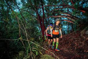 BIB: 
                            <button type="button" onclick="openModal(24788521)" class="btn btn-primary btn-sm float-right btn-popup" data-toggle="modal" data-target=".modal-high-quality">
                        <i class="fas fa-shopping-cart"></i> Add to Cart
                    </button>
                                            <button type="button" onclick="isThisMe(24788521, true)" class="btn btn-success btn-sm float-right btn-popup btn-isme hidden" data-toggle="tooltip" data-placement="bottom" title="นี่คือรูปของคุณใช่ไหม คลิกที่นี่เพื่อเอาเข้าอัลบั้ม">
                        <i class="fas fa-plus"></i> Add to album
                    </button>
                    <button type="button" onclick="isThisMe(24788521, false)" class="btn btn-warning btn-sm float-right btn-popup btn-isnotme hidden">
                        <i class="fas fa-ban"></i> Remove from album
                    </button>