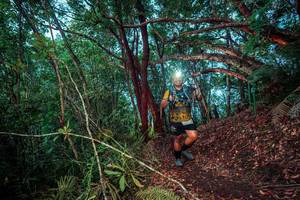 BIB: 
                            <button type="button" onclick="openModal(24781239)" class="btn btn-primary btn-sm float-right btn-popup" data-toggle="modal" data-target=".modal-high-quality">
                        <i class="fas fa-shopping-cart"></i> Add to Cart
                    </button>
                                            <button type="button" onclick="isThisMe(24781239, true)" class="btn btn-success btn-sm float-right btn-popup btn-isme hidden" data-toggle="tooltip" data-placement="bottom" title="นี่คือรูปของคุณใช่ไหม คลิกที่นี่เพื่อเอาเข้าอัลบั้ม">
                        <i class="fas fa-plus"></i> Add to album
                    </button>
                    <button type="button" onclick="isThisMe(24781239, false)" class="btn btn-warning btn-sm float-right btn-popup btn-isnotme hidden">
                        <i class="fas fa-ban"></i> Remove from album
                    </button>