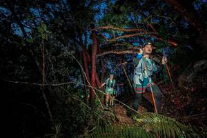 BIB: 
                            <button type="button" onclick="openModal(24789489)" class="btn btn-primary btn-sm float-right btn-popup" data-toggle="modal" data-target=".modal-high-quality">
                        <i class="fas fa-shopping-cart"></i> Add to Cart
                    </button>
                                            <button type="button" onclick="isThisMe(24789489, true)" class="btn btn-success btn-sm float-right btn-popup btn-isme hidden" data-toggle="tooltip" data-placement="bottom" title="นี่คือรูปของคุณใช่ไหม คลิกที่นี่เพื่อเอาเข้าอัลบั้ม">
                        <i class="fas fa-plus"></i> Add to album
                    </button>
                    <button type="button" onclick="isThisMe(24789489, false)" class="btn btn-warning btn-sm float-right btn-popup btn-isnotme hidden">
                        <i class="fas fa-ban"></i> Remove from album
                    </button>