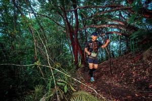 BIB: 
                            <button type="button" onclick="openModal(24780895)" class="btn btn-primary btn-sm float-right btn-popup" data-toggle="modal" data-target=".modal-high-quality">
                        <i class="fas fa-shopping-cart"></i> Add to Cart
                    </button>
                                            <button type="button" onclick="isThisMe(24780895, true)" class="btn btn-success btn-sm float-right btn-popup btn-isme hidden" data-toggle="tooltip" data-placement="bottom" title="นี่คือรูปของคุณใช่ไหม คลิกที่นี่เพื่อเอาเข้าอัลบั้ม">
                        <i class="fas fa-plus"></i> Add to album
                    </button>
                    <button type="button" onclick="isThisMe(24780895, false)" class="btn btn-warning btn-sm float-right btn-popup btn-isnotme hidden">
                        <i class="fas fa-ban"></i> Remove from album
                    </button>