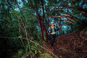 BIB: 
                            <button type="button" onclick="openModal(24788690)" class="btn btn-primary btn-sm float-right btn-popup" data-toggle="modal" data-target=".modal-high-quality">
                        <i class="fas fa-shopping-cart"></i> Add to Cart
                    </button>
                                            <button type="button" onclick="isThisMe(24788690, true)" class="btn btn-success btn-sm float-right btn-popup btn-isme hidden" data-toggle="tooltip" data-placement="bottom" title="นี่คือรูปของคุณใช่ไหม คลิกที่นี่เพื่อเอาเข้าอัลบั้ม">
                        <i class="fas fa-plus"></i> Add to album
                    </button>
                    <button type="button" onclick="isThisMe(24788690, false)" class="btn btn-warning btn-sm float-right btn-popup btn-isnotme hidden">
                        <i class="fas fa-ban"></i> Remove from album
                    </button>