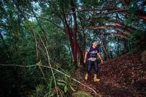 BIB: 
                            <button type="button" onclick="openModal(24789219)" class="btn btn-primary btn-sm float-right btn-popup" data-toggle="modal" data-target=".modal-high-quality">
                        <i class="fas fa-shopping-cart"></i> Add to Cart
                    </button>
                                            <button type="button" onclick="isThisMe(24789219, true)" class="btn btn-success btn-sm float-right btn-popup btn-isme hidden" data-toggle="tooltip" data-placement="bottom" title="นี่คือรูปของคุณใช่ไหม คลิกที่นี่เพื่อเอาเข้าอัลบั้ม">
                        <i class="fas fa-plus"></i> Add to album
                    </button>
                    <button type="button" onclick="isThisMe(24789219, false)" class="btn btn-warning btn-sm float-right btn-popup btn-isnotme hidden">
                        <i class="fas fa-ban"></i> Remove from album
                    </button>