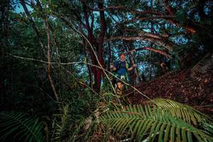 BIB: 
                            <button type="button" onclick="openModal(24785590)" class="btn btn-primary btn-sm float-right btn-popup" data-toggle="modal" data-target=".modal-high-quality">
                        <i class="fas fa-shopping-cart"></i> Add to Cart
                    </button>
                                            <button type="button" onclick="isThisMe(24785590, true)" class="btn btn-success btn-sm float-right btn-popup btn-isme hidden" data-toggle="tooltip" data-placement="bottom" title="นี่คือรูปของคุณใช่ไหม คลิกที่นี่เพื่อเอาเข้าอัลบั้ม">
                        <i class="fas fa-plus"></i> Add to album
                    </button>
                    <button type="button" onclick="isThisMe(24785590, false)" class="btn btn-warning btn-sm float-right btn-popup btn-isnotme hidden">
                        <i class="fas fa-ban"></i> Remove from album
                    </button>