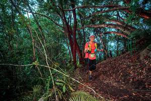 BIB: 
                            <button type="button" onclick="openModal(24781170)" class="btn btn-primary btn-sm float-right btn-popup" data-toggle="modal" data-target=".modal-high-quality">
                        <i class="fas fa-shopping-cart"></i> Add to Cart
                    </button>
                                            <button type="button" onclick="isThisMe(24781170, true)" class="btn btn-success btn-sm float-right btn-popup btn-isme hidden" data-toggle="tooltip" data-placement="bottom" title="นี่คือรูปของคุณใช่ไหม คลิกที่นี่เพื่อเอาเข้าอัลบั้ม">
                        <i class="fas fa-plus"></i> Add to album
                    </button>
                    <button type="button" onclick="isThisMe(24781170, false)" class="btn btn-warning btn-sm float-right btn-popup btn-isnotme hidden">
                        <i class="fas fa-ban"></i> Remove from album
                    </button>