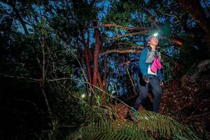 BIB: 
                            <button type="button" onclick="openModal(24781683)" class="btn btn-primary btn-sm float-right btn-popup" data-toggle="modal" data-target=".modal-high-quality">
                        <i class="fas fa-shopping-cart"></i> Add to Cart
                    </button>
                                            <button type="button" onclick="isThisMe(24781683, true)" class="btn btn-success btn-sm float-right btn-popup btn-isme hidden" data-toggle="tooltip" data-placement="bottom" title="นี่คือรูปของคุณใช่ไหม คลิกที่นี่เพื่อเอาเข้าอัลบั้ม">
                        <i class="fas fa-plus"></i> Add to album
                    </button>
                    <button type="button" onclick="isThisMe(24781683, false)" class="btn btn-warning btn-sm float-right btn-popup btn-isnotme hidden">
                        <i class="fas fa-ban"></i> Remove from album
                    </button>