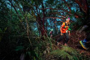 BIB: 
                            <button type="button" onclick="openModal(24786183)" class="btn btn-primary btn-sm float-right btn-popup" data-toggle="modal" data-target=".modal-high-quality">
                        <i class="fas fa-shopping-cart"></i> Add to Cart
                    </button>
                                            <button type="button" onclick="isThisMe(24786183, true)" class="btn btn-success btn-sm float-right btn-popup btn-isme hidden" data-toggle="tooltip" data-placement="bottom" title="นี่คือรูปของคุณใช่ไหม คลิกที่นี่เพื่อเอาเข้าอัลบั้ม">
                        <i class="fas fa-plus"></i> Add to album
                    </button>
                    <button type="button" onclick="isThisMe(24786183, false)" class="btn btn-warning btn-sm float-right btn-popup btn-isnotme hidden">
                        <i class="fas fa-ban"></i> Remove from album
                    </button>