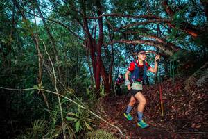 BIB: 
                            <button type="button" onclick="openModal(24789106)" class="btn btn-primary btn-sm float-right btn-popup" data-toggle="modal" data-target=".modal-high-quality">
                        <i class="fas fa-shopping-cart"></i> Add to Cart
                    </button>
                                            <button type="button" onclick="isThisMe(24789106, true)" class="btn btn-success btn-sm float-right btn-popup btn-isme hidden" data-toggle="tooltip" data-placement="bottom" title="นี่คือรูปของคุณใช่ไหม คลิกที่นี่เพื่อเอาเข้าอัลบั้ม">
                        <i class="fas fa-plus"></i> Add to album
                    </button>
                    <button type="button" onclick="isThisMe(24789106, false)" class="btn btn-warning btn-sm float-right btn-popup btn-isnotme hidden">
                        <i class="fas fa-ban"></i> Remove from album
                    </button>