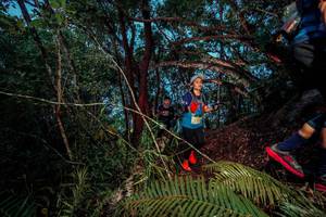 BIB: 
                            <button type="button" onclick="openModal(24784921)" class="btn btn-primary btn-sm float-right btn-popup" data-toggle="modal" data-target=".modal-high-quality">
                        <i class="fas fa-shopping-cart"></i> Add to Cart
                    </button>
                                            <button type="button" onclick="isThisMe(24784921, true)" class="btn btn-success btn-sm float-right btn-popup btn-isme hidden" data-toggle="tooltip" data-placement="bottom" title="นี่คือรูปของคุณใช่ไหม คลิกที่นี่เพื่อเอาเข้าอัลบั้ม">
                        <i class="fas fa-plus"></i> Add to album
                    </button>
                    <button type="button" onclick="isThisMe(24784921, false)" class="btn btn-warning btn-sm float-right btn-popup btn-isnotme hidden">
                        <i class="fas fa-ban"></i> Remove from album
                    </button>