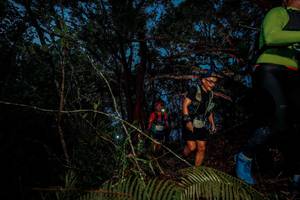 BIB: 
                            <button type="button" onclick="openModal(24782456)" class="btn btn-primary btn-sm float-right btn-popup" data-toggle="modal" data-target=".modal-high-quality">
                        <i class="fas fa-shopping-cart"></i> Add to Cart
                    </button>
                                            <button type="button" onclick="isThisMe(24782456, true)" class="btn btn-success btn-sm float-right btn-popup btn-isme hidden" data-toggle="tooltip" data-placement="bottom" title="นี่คือรูปของคุณใช่ไหม คลิกที่นี่เพื่อเอาเข้าอัลบั้ม">
                        <i class="fas fa-plus"></i> Add to album
                    </button>
                    <button type="button" onclick="isThisMe(24782456, false)" class="btn btn-warning btn-sm float-right btn-popup btn-isnotme hidden">
                        <i class="fas fa-ban"></i> Remove from album
                    </button>