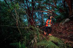 BIB: 
                            <button type="button" onclick="openModal(24786850)" class="btn btn-primary btn-sm float-right btn-popup" data-toggle="modal" data-target=".modal-high-quality">
                        <i class="fas fa-shopping-cart"></i> Add to Cart
                    </button>
                                            <button type="button" onclick="isThisMe(24786850, true)" class="btn btn-success btn-sm float-right btn-popup btn-isme hidden" data-toggle="tooltip" data-placement="bottom" title="นี่คือรูปของคุณใช่ไหม คลิกที่นี่เพื่อเอาเข้าอัลบั้ม">
                        <i class="fas fa-plus"></i> Add to album
                    </button>
                    <button type="button" onclick="isThisMe(24786850, false)" class="btn btn-warning btn-sm float-right btn-popup btn-isnotme hidden">
                        <i class="fas fa-ban"></i> Remove from album
                    </button>