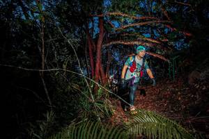 BIB: 
                            <button type="button" onclick="openModal(24789682)" class="btn btn-primary btn-sm float-right btn-popup" data-toggle="modal" data-target=".modal-high-quality">
                        <i class="fas fa-shopping-cart"></i> Add to Cart
                    </button>
                                            <button type="button" onclick="isThisMe(24789682, true)" class="btn btn-success btn-sm float-right btn-popup btn-isme hidden" data-toggle="tooltip" data-placement="bottom" title="นี่คือรูปของคุณใช่ไหม คลิกที่นี่เพื่อเอาเข้าอัลบั้ม">
                        <i class="fas fa-plus"></i> Add to album
                    </button>
                    <button type="button" onclick="isThisMe(24789682, false)" class="btn btn-warning btn-sm float-right btn-popup btn-isnotme hidden">
                        <i class="fas fa-ban"></i> Remove from album
                    </button>