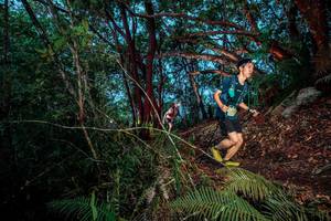 BIB: 
                            <button type="button" onclick="openModal(24786913)" class="btn btn-primary btn-sm float-right btn-popup" data-toggle="modal" data-target=".modal-high-quality">
                        <i class="fas fa-shopping-cart"></i> Add to Cart
                    </button>
                                            <button type="button" onclick="isThisMe(24786913, true)" class="btn btn-success btn-sm float-right btn-popup btn-isme hidden" data-toggle="tooltip" data-placement="bottom" title="นี่คือรูปของคุณใช่ไหม คลิกที่นี่เพื่อเอาเข้าอัลบั้ม">
                        <i class="fas fa-plus"></i> Add to album
                    </button>
                    <button type="button" onclick="isThisMe(24786913, false)" class="btn btn-warning btn-sm float-right btn-popup btn-isnotme hidden">
                        <i class="fas fa-ban"></i> Remove from album
                    </button>