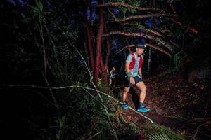 BIB: 
                            <button type="button" onclick="openModal(24785296)" class="btn btn-primary btn-sm float-right btn-popup" data-toggle="modal" data-target=".modal-high-quality">
                        <i class="fas fa-shopping-cart"></i> Add to Cart
                    </button>
                                            <button type="button" onclick="isThisMe(24785296, true)" class="btn btn-success btn-sm float-right btn-popup btn-isme hidden" data-toggle="tooltip" data-placement="bottom" title="นี่คือรูปของคุณใช่ไหม คลิกที่นี่เพื่อเอาเข้าอัลบั้ม">
                        <i class="fas fa-plus"></i> Add to album
                    </button>
                    <button type="button" onclick="isThisMe(24785296, false)" class="btn btn-warning btn-sm float-right btn-popup btn-isnotme hidden">
                        <i class="fas fa-ban"></i> Remove from album
                    </button>