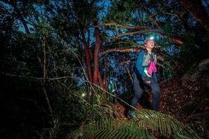 BIB: 
                            <button type="button" onclick="openModal(24781686)" class="btn btn-primary btn-sm float-right btn-popup" data-toggle="modal" data-target=".modal-high-quality">
                        <i class="fas fa-shopping-cart"></i> Add to Cart
                    </button>
                                            <button type="button" onclick="isThisMe(24781686, true)" class="btn btn-success btn-sm float-right btn-popup btn-isme hidden" data-toggle="tooltip" data-placement="bottom" title="นี่คือรูปของคุณใช่ไหม คลิกที่นี่เพื่อเอาเข้าอัลบั้ม">
                        <i class="fas fa-plus"></i> Add to album
                    </button>
                    <button type="button" onclick="isThisMe(24781686, false)" class="btn btn-warning btn-sm float-right btn-popup btn-isnotme hidden">
                        <i class="fas fa-ban"></i> Remove from album
                    </button>