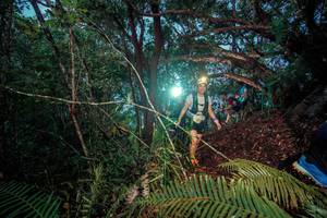 BIB: 
                            <button type="button" onclick="openModal(24785699)" class="btn btn-primary btn-sm float-right btn-popup" data-toggle="modal" data-target=".modal-high-quality">
                        <i class="fas fa-shopping-cart"></i> Add to Cart
                    </button>
                                            <button type="button" onclick="isThisMe(24785699, true)" class="btn btn-success btn-sm float-right btn-popup btn-isme hidden" data-toggle="tooltip" data-placement="bottom" title="นี่คือรูปของคุณใช่ไหม คลิกที่นี่เพื่อเอาเข้าอัลบั้ม">
                        <i class="fas fa-plus"></i> Add to album
                    </button>
                    <button type="button" onclick="isThisMe(24785699, false)" class="btn btn-warning btn-sm float-right btn-popup btn-isnotme hidden">
                        <i class="fas fa-ban"></i> Remove from album
                    </button>