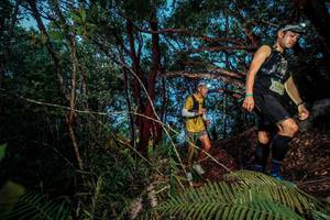 BIB: 
                            <button type="button" onclick="openModal(24784295)" class="btn btn-primary btn-sm float-right btn-popup" data-toggle="modal" data-target=".modal-high-quality">
                        <i class="fas fa-shopping-cart"></i> Add to Cart
                    </button>
                                            <button type="button" onclick="isThisMe(24784295, true)" class="btn btn-success btn-sm float-right btn-popup btn-isme hidden" data-toggle="tooltip" data-placement="bottom" title="นี่คือรูปของคุณใช่ไหม คลิกที่นี่เพื่อเอาเข้าอัลบั้ม">
                        <i class="fas fa-plus"></i> Add to album
                    </button>
                    <button type="button" onclick="isThisMe(24784295, false)" class="btn btn-warning btn-sm float-right btn-popup btn-isnotme hidden">
                        <i class="fas fa-ban"></i> Remove from album
                    </button>