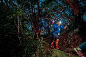 BIB: 
                            <button type="button" onclick="openModal(24782673)" class="btn btn-primary btn-sm float-right btn-popup" data-toggle="modal" data-target=".modal-high-quality">
                        <i class="fas fa-shopping-cart"></i> Add to Cart
                    </button>
                                            <button type="button" onclick="isThisMe(24782673, true)" class="btn btn-success btn-sm float-right btn-popup btn-isme hidden" data-toggle="tooltip" data-placement="bottom" title="นี่คือรูปของคุณใช่ไหม คลิกที่นี่เพื่อเอาเข้าอัลบั้ม">
                        <i class="fas fa-plus"></i> Add to album
                    </button>
                    <button type="button" onclick="isThisMe(24782673, false)" class="btn btn-warning btn-sm float-right btn-popup btn-isnotme hidden">
                        <i class="fas fa-ban"></i> Remove from album
                    </button>