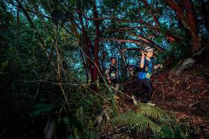 BIB: 
                            <button type="button" onclick="openModal(24785915)" class="btn btn-primary btn-sm float-right btn-popup" data-toggle="modal" data-target=".modal-high-quality">
                        <i class="fas fa-shopping-cart"></i> Add to Cart
                    </button>
                                            <button type="button" onclick="isThisMe(24785915, true)" class="btn btn-success btn-sm float-right btn-popup btn-isme hidden" data-toggle="tooltip" data-placement="bottom" title="นี่คือรูปของคุณใช่ไหม คลิกที่นี่เพื่อเอาเข้าอัลบั้ม">
                        <i class="fas fa-plus"></i> Add to album
                    </button>
                    <button type="button" onclick="isThisMe(24785915, false)" class="btn btn-warning btn-sm float-right btn-popup btn-isnotme hidden">
                        <i class="fas fa-ban"></i> Remove from album
                    </button>