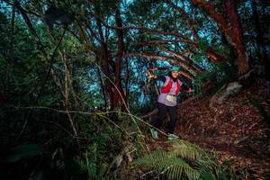 BIB: 
                            <button type="button" onclick="openModal(24786222)" class="btn btn-primary btn-sm float-right btn-popup" data-toggle="modal" data-target=".modal-high-quality">
                        <i class="fas fa-shopping-cart"></i> Add to Cart
                    </button>
                                            <button type="button" onclick="isThisMe(24786222, true)" class="btn btn-success btn-sm float-right btn-popup btn-isme hidden" data-toggle="tooltip" data-placement="bottom" title="นี่คือรูปของคุณใช่ไหม คลิกที่นี่เพื่อเอาเข้าอัลบั้ม">
                        <i class="fas fa-plus"></i> Add to album
                    </button>
                    <button type="button" onclick="isThisMe(24786222, false)" class="btn btn-warning btn-sm float-right btn-popup btn-isnotme hidden">
                        <i class="fas fa-ban"></i> Remove from album
                    </button>