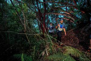 BIB: 
                            <button type="button" onclick="openModal(24787467)" class="btn btn-primary btn-sm float-right btn-popup" data-toggle="modal" data-target=".modal-high-quality">
                        <i class="fas fa-shopping-cart"></i> Add to Cart
                    </button>
                                            <button type="button" onclick="isThisMe(24787467, true)" class="btn btn-success btn-sm float-right btn-popup btn-isme hidden" data-toggle="tooltip" data-placement="bottom" title="นี่คือรูปของคุณใช่ไหม คลิกที่นี่เพื่อเอาเข้าอัลบั้ม">
                        <i class="fas fa-plus"></i> Add to album
                    </button>
                    <button type="button" onclick="isThisMe(24787467, false)" class="btn btn-warning btn-sm float-right btn-popup btn-isnotme hidden">
                        <i class="fas fa-ban"></i> Remove from album
                    </button>