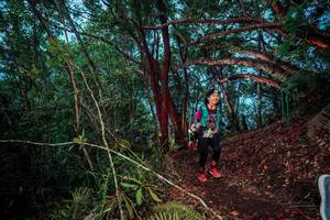 BIB: 
                            <button type="button" onclick="openModal(24788825)" class="btn btn-primary btn-sm float-right btn-popup" data-toggle="modal" data-target=".modal-high-quality">
                        <i class="fas fa-shopping-cart"></i> Add to Cart
                    </button>
                                            <button type="button" onclick="isThisMe(24788825, true)" class="btn btn-success btn-sm float-right btn-popup btn-isme hidden" data-toggle="tooltip" data-placement="bottom" title="นี่คือรูปของคุณใช่ไหม คลิกที่นี่เพื่อเอาเข้าอัลบั้ม">
                        <i class="fas fa-plus"></i> Add to album
                    </button>
                    <button type="button" onclick="isThisMe(24788825, false)" class="btn btn-warning btn-sm float-right btn-popup btn-isnotme hidden">
                        <i class="fas fa-ban"></i> Remove from album
                    </button>