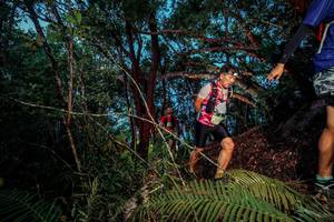 BIB: 
                            <button type="button" onclick="openModal(24784168)" class="btn btn-primary btn-sm float-right btn-popup" data-toggle="modal" data-target=".modal-high-quality">
                        <i class="fas fa-shopping-cart"></i> Add to Cart
                    </button>
                                            <button type="button" onclick="isThisMe(24784168, true)" class="btn btn-success btn-sm float-right btn-popup btn-isme hidden" data-toggle="tooltip" data-placement="bottom" title="นี่คือรูปของคุณใช่ไหม คลิกที่นี่เพื่อเอาเข้าอัลบั้ม">
                        <i class="fas fa-plus"></i> Add to album
                    </button>
                    <button type="button" onclick="isThisMe(24784168, false)" class="btn btn-warning btn-sm float-right btn-popup btn-isnotme hidden">
                        <i class="fas fa-ban"></i> Remove from album
                    </button>