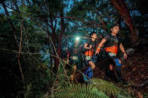 BIB: 
                            <button type="button" onclick="openModal(24782926)" class="btn btn-primary btn-sm float-right btn-popup" data-toggle="modal" data-target=".modal-high-quality">
                        <i class="fas fa-shopping-cart"></i> Add to Cart
                    </button>
                                            <button type="button" onclick="isThisMe(24782926, true)" class="btn btn-success btn-sm float-right btn-popup btn-isme hidden" data-toggle="tooltip" data-placement="bottom" title="นี่คือรูปของคุณใช่ไหม คลิกที่นี่เพื่อเอาเข้าอัลบั้ม">
                        <i class="fas fa-plus"></i> Add to album
                    </button>
                    <button type="button" onclick="isThisMe(24782926, false)" class="btn btn-warning btn-sm float-right btn-popup btn-isnotme hidden">
                        <i class="fas fa-ban"></i> Remove from album
                    </button>