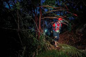 BIB: 
                            <button type="button" onclick="openModal(24788749)" class="btn btn-primary btn-sm float-right btn-popup" data-toggle="modal" data-target=".modal-high-quality">
                        <i class="fas fa-shopping-cart"></i> Add to Cart
                    </button>
                                            <button type="button" onclick="isThisMe(24788749, true)" class="btn btn-success btn-sm float-right btn-popup btn-isme hidden" data-toggle="tooltip" data-placement="bottom" title="นี่คือรูปของคุณใช่ไหม คลิกที่นี่เพื่อเอาเข้าอัลบั้ม">
                        <i class="fas fa-plus"></i> Add to album
                    </button>
                    <button type="button" onclick="isThisMe(24788749, false)" class="btn btn-warning btn-sm float-right btn-popup btn-isnotme hidden">
                        <i class="fas fa-ban"></i> Remove from album
                    </button>