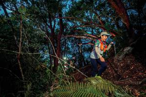 BIB: 
                            <button type="button" onclick="openModal(24782897)" class="btn btn-primary btn-sm float-right btn-popup" data-toggle="modal" data-target=".modal-high-quality">
                        <i class="fas fa-shopping-cart"></i> Add to Cart
                    </button>
                                            <button type="button" onclick="isThisMe(24782897, true)" class="btn btn-success btn-sm float-right btn-popup btn-isme hidden" data-toggle="tooltip" data-placement="bottom" title="นี่คือรูปของคุณใช่ไหม คลิกที่นี่เพื่อเอาเข้าอัลบั้ม">
                        <i class="fas fa-plus"></i> Add to album
                    </button>
                    <button type="button" onclick="isThisMe(24782897, false)" class="btn btn-warning btn-sm float-right btn-popup btn-isnotme hidden">
                        <i class="fas fa-ban"></i> Remove from album
                    </button>