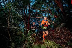 BIB: 
                            <button type="button" onclick="openModal(24783073)" class="btn btn-primary btn-sm float-right btn-popup" data-toggle="modal" data-target=".modal-high-quality">
                        <i class="fas fa-shopping-cart"></i> Add to Cart
                    </button>
                                            <button type="button" onclick="isThisMe(24783073, true)" class="btn btn-success btn-sm float-right btn-popup btn-isme hidden" data-toggle="tooltip" data-placement="bottom" title="นี่คือรูปของคุณใช่ไหม คลิกที่นี่เพื่อเอาเข้าอัลบั้ม">
                        <i class="fas fa-plus"></i> Add to album
                    </button>
                    <button type="button" onclick="isThisMe(24783073, false)" class="btn btn-warning btn-sm float-right btn-popup btn-isnotme hidden">
                        <i class="fas fa-ban"></i> Remove from album
                    </button>