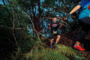 BIB: 
                            <button type="button" onclick="openModal(24784984)" class="btn btn-primary btn-sm float-right btn-popup" data-toggle="modal" data-target=".modal-high-quality">
                        <i class="fas fa-shopping-cart"></i> Add to Cart
                    </button>
                                            <button type="button" onclick="isThisMe(24784984, true)" class="btn btn-success btn-sm float-right btn-popup btn-isme hidden" data-toggle="tooltip" data-placement="bottom" title="นี่คือรูปของคุณใช่ไหม คลิกที่นี่เพื่อเอาเข้าอัลบั้ม">
                        <i class="fas fa-plus"></i> Add to album
                    </button>
                    <button type="button" onclick="isThisMe(24784984, false)" class="btn btn-warning btn-sm float-right btn-popup btn-isnotme hidden">
                        <i class="fas fa-ban"></i> Remove from album
                    </button>