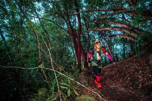 BIB: 
                            <button type="button" onclick="openModal(24789318)" class="btn btn-primary btn-sm float-right btn-popup" data-toggle="modal" data-target=".modal-high-quality">
                        <i class="fas fa-shopping-cart"></i> Add to Cart
                    </button>
                                            <button type="button" onclick="isThisMe(24789318, true)" class="btn btn-success btn-sm float-right btn-popup btn-isme hidden" data-toggle="tooltip" data-placement="bottom" title="นี่คือรูปของคุณใช่ไหม คลิกที่นี่เพื่อเอาเข้าอัลบั้ม">
                        <i class="fas fa-plus"></i> Add to album
                    </button>
                    <button type="button" onclick="isThisMe(24789318, false)" class="btn btn-warning btn-sm float-right btn-popup btn-isnotme hidden">
                        <i class="fas fa-ban"></i> Remove from album
                    </button>