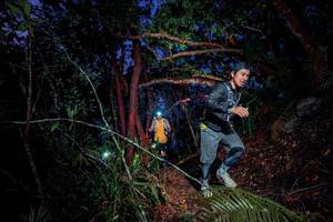 BIB: 
                            <button type="button" onclick="openModal(24786945)" class="btn btn-primary btn-sm float-right btn-popup" data-toggle="modal" data-target=".modal-high-quality">
                        <i class="fas fa-shopping-cart"></i> Add to Cart
                    </button>
                                            <button type="button" onclick="isThisMe(24786945, true)" class="btn btn-success btn-sm float-right btn-popup btn-isme hidden" data-toggle="tooltip" data-placement="bottom" title="นี่คือรูปของคุณใช่ไหม คลิกที่นี่เพื่อเอาเข้าอัลบั้ม">
                        <i class="fas fa-plus"></i> Add to album
                    </button>
                    <button type="button" onclick="isThisMe(24786945, false)" class="btn btn-warning btn-sm float-right btn-popup btn-isnotme hidden">
                        <i class="fas fa-ban"></i> Remove from album
                    </button>