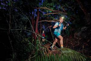 BIB: 
                            <button type="button" onclick="openModal(24786473)" class="btn btn-primary btn-sm float-right btn-popup" data-toggle="modal" data-target=".modal-high-quality">
                        <i class="fas fa-shopping-cart"></i> Add to Cart
                    </button>
                                            <button type="button" onclick="isThisMe(24786473, true)" class="btn btn-success btn-sm float-right btn-popup btn-isme hidden" data-toggle="tooltip" data-placement="bottom" title="นี่คือรูปของคุณใช่ไหม คลิกที่นี่เพื่อเอาเข้าอัลบั้ม">
                        <i class="fas fa-plus"></i> Add to album
                    </button>
                    <button type="button" onclick="isThisMe(24786473, false)" class="btn btn-warning btn-sm float-right btn-popup btn-isnotme hidden">
                        <i class="fas fa-ban"></i> Remove from album
                    </button>