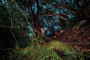 BIB: 
                            <button type="button" onclick="openModal(24784057)" class="btn btn-primary btn-sm float-right btn-popup" data-toggle="modal" data-target=".modal-high-quality">
                        <i class="fas fa-shopping-cart"></i> Add to Cart
                    </button>
                                            <button type="button" onclick="isThisMe(24784057, true)" class="btn btn-success btn-sm float-right btn-popup btn-isme hidden" data-toggle="tooltip" data-placement="bottom" title="นี่คือรูปของคุณใช่ไหม คลิกที่นี่เพื่อเอาเข้าอัลบั้ม">
                        <i class="fas fa-plus"></i> Add to album
                    </button>
                    <button type="button" onclick="isThisMe(24784057, false)" class="btn btn-warning btn-sm float-right btn-popup btn-isnotme hidden">
                        <i class="fas fa-ban"></i> Remove from album
                    </button>