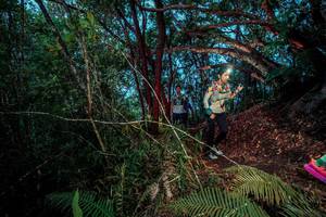 BIB: 
                            <button type="button" onclick="openModal(24787180)" class="btn btn-primary btn-sm float-right btn-popup" data-toggle="modal" data-target=".modal-high-quality">
                        <i class="fas fa-shopping-cart"></i> Add to Cart
                    </button>
                                            <button type="button" onclick="isThisMe(24787180, true)" class="btn btn-success btn-sm float-right btn-popup btn-isme hidden" data-toggle="tooltip" data-placement="bottom" title="นี่คือรูปของคุณใช่ไหม คลิกที่นี่เพื่อเอาเข้าอัลบั้ม">
                        <i class="fas fa-plus"></i> Add to album
                    </button>
                    <button type="button" onclick="isThisMe(24787180, false)" class="btn btn-warning btn-sm float-right btn-popup btn-isnotme hidden">
                        <i class="fas fa-ban"></i> Remove from album
                    </button>