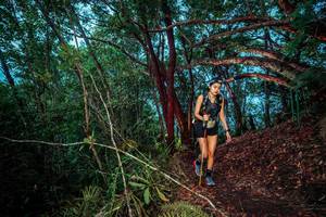 BIB: 
                            <button type="button" onclick="openModal(24789050)" class="btn btn-primary btn-sm float-right btn-popup" data-toggle="modal" data-target=".modal-high-quality">
                        <i class="fas fa-shopping-cart"></i> Add to Cart
                    </button>
                                            <button type="button" onclick="isThisMe(24789050, true)" class="btn btn-success btn-sm float-right btn-popup btn-isme hidden" data-toggle="tooltip" data-placement="bottom" title="นี่คือรูปของคุณใช่ไหม คลิกที่นี่เพื่อเอาเข้าอัลบั้ม">
                        <i class="fas fa-plus"></i> Add to album
                    </button>
                    <button type="button" onclick="isThisMe(24789050, false)" class="btn btn-warning btn-sm float-right btn-popup btn-isnotme hidden">
                        <i class="fas fa-ban"></i> Remove from album
                    </button>