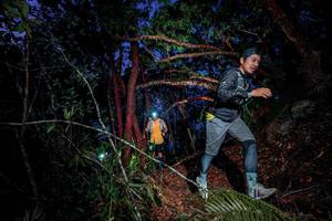 BIB: 
                            <button type="button" onclick="openModal(24786954)" class="btn btn-primary btn-sm float-right btn-popup" data-toggle="modal" data-target=".modal-high-quality">
                        <i class="fas fa-shopping-cart"></i> Add to Cart
                    </button>
                                            <button type="button" onclick="isThisMe(24786954, true)" class="btn btn-success btn-sm float-right btn-popup btn-isme hidden" data-toggle="tooltip" data-placement="bottom" title="นี่คือรูปของคุณใช่ไหม คลิกที่นี่เพื่อเอาเข้าอัลบั้ม">
                        <i class="fas fa-plus"></i> Add to album
                    </button>
                    <button type="button" onclick="isThisMe(24786954, false)" class="btn btn-warning btn-sm float-right btn-popup btn-isnotme hidden">
                        <i class="fas fa-ban"></i> Remove from album
                    </button>