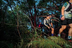 BIB: 223
                            <button type="button" onclick="openModal(24783952)" class="btn btn-primary btn-sm float-right btn-popup" data-toggle="modal" data-target=".modal-high-quality">
                        <i class="fas fa-shopping-cart"></i> Add to Cart
                    </button>
                                            <button type="button" onclick="isThisMe(24783952, true)" class="btn btn-success btn-sm float-right btn-popup btn-isme hidden" data-toggle="tooltip" data-placement="bottom" title="นี่คือรูปของคุณใช่ไหม คลิกที่นี่เพื่อเอาเข้าอัลบั้ม">
                        <i class="fas fa-plus"></i> Add to album
                    </button>
                    <button type="button" onclick="isThisMe(24783952, false)" class="btn btn-warning btn-sm float-right btn-popup btn-isnotme hidden">
                        <i class="fas fa-ban"></i> Remove from album
                    </button>