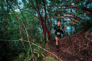 BIB: 
                            <button type="button" onclick="openModal(24781235)" class="btn btn-primary btn-sm float-right btn-popup" data-toggle="modal" data-target=".modal-high-quality">
                        <i class="fas fa-shopping-cart"></i> Add to Cart
                    </button>
                                            <button type="button" onclick="isThisMe(24781235, true)" class="btn btn-success btn-sm float-right btn-popup btn-isme hidden" data-toggle="tooltip" data-placement="bottom" title="นี่คือรูปของคุณใช่ไหม คลิกที่นี่เพื่อเอาเข้าอัลบั้ม">
                        <i class="fas fa-plus"></i> Add to album
                    </button>
                    <button type="button" onclick="isThisMe(24781235, false)" class="btn btn-warning btn-sm float-right btn-popup btn-isnotme hidden">
                        <i class="fas fa-ban"></i> Remove from album
                    </button>