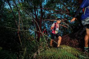 BIB: 
                            <button type="button" onclick="openModal(24784172)" class="btn btn-primary btn-sm float-right btn-popup" data-toggle="modal" data-target=".modal-high-quality">
                        <i class="fas fa-shopping-cart"></i> Add to Cart
                    </button>
                                            <button type="button" onclick="isThisMe(24784172, true)" class="btn btn-success btn-sm float-right btn-popup btn-isme hidden" data-toggle="tooltip" data-placement="bottom" title="นี่คือรูปของคุณใช่ไหม คลิกที่นี่เพื่อเอาเข้าอัลบั้ม">
                        <i class="fas fa-plus"></i> Add to album
                    </button>
                    <button type="button" onclick="isThisMe(24784172, false)" class="btn btn-warning btn-sm float-right btn-popup btn-isnotme hidden">
                        <i class="fas fa-ban"></i> Remove from album
                    </button>