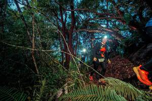 BIB: 
                            <button type="button" onclick="openModal(24785773)" class="btn btn-primary btn-sm float-right btn-popup" data-toggle="modal" data-target=".modal-high-quality">
                        <i class="fas fa-shopping-cart"></i> Add to Cart
                    </button>
                                            <button type="button" onclick="isThisMe(24785773, true)" class="btn btn-success btn-sm float-right btn-popup btn-isme hidden" data-toggle="tooltip" data-placement="bottom" title="นี่คือรูปของคุณใช่ไหม คลิกที่นี่เพื่อเอาเข้าอัลบั้ม">
                        <i class="fas fa-plus"></i> Add to album
                    </button>
                    <button type="button" onclick="isThisMe(24785773, false)" class="btn btn-warning btn-sm float-right btn-popup btn-isnotme hidden">
                        <i class="fas fa-ban"></i> Remove from album
                    </button>