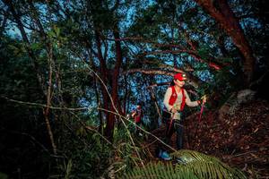 BIB: 
                            <button type="button" onclick="openModal(24783279)" class="btn btn-primary btn-sm float-right btn-popup" data-toggle="modal" data-target=".modal-high-quality">
                        <i class="fas fa-shopping-cart"></i> Add to Cart
                    </button>
                                            <button type="button" onclick="isThisMe(24783279, true)" class="btn btn-success btn-sm float-right btn-popup btn-isme hidden" data-toggle="tooltip" data-placement="bottom" title="นี่คือรูปของคุณใช่ไหม คลิกที่นี่เพื่อเอาเข้าอัลบั้ม">
                        <i class="fas fa-plus"></i> Add to album
                    </button>
                    <button type="button" onclick="isThisMe(24783279, false)" class="btn btn-warning btn-sm float-right btn-popup btn-isnotme hidden">
                        <i class="fas fa-ban"></i> Remove from album
                    </button>