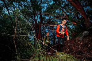 BIB: 
                            <button type="button" onclick="openModal(24783316)" class="btn btn-primary btn-sm float-right btn-popup" data-toggle="modal" data-target=".modal-high-quality">
                        <i class="fas fa-shopping-cart"></i> Add to Cart
                    </button>
                                            <button type="button" onclick="isThisMe(24783316, true)" class="btn btn-success btn-sm float-right btn-popup btn-isme hidden" data-toggle="tooltip" data-placement="bottom" title="นี่คือรูปของคุณใช่ไหม คลิกที่นี่เพื่อเอาเข้าอัลบั้ม">
                        <i class="fas fa-plus"></i> Add to album
                    </button>
                    <button type="button" onclick="isThisMe(24783316, false)" class="btn btn-warning btn-sm float-right btn-popup btn-isnotme hidden">
                        <i class="fas fa-ban"></i> Remove from album
                    </button>